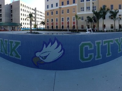 Florida Gulf Coast University